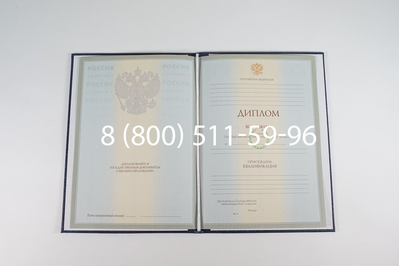 Диплом о высшем образовании 2003-2009 годов в Елце